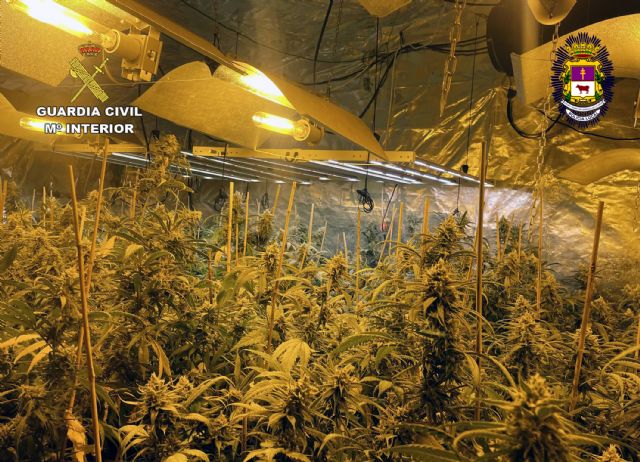 Desmantelan una casa-invernadero con más de 11 kilos de cannabis en la pedanía caravaqueña de La Encarnación